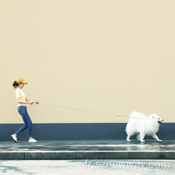 Laisse de chien rétractable de Xiaomi Moestar 2.6m